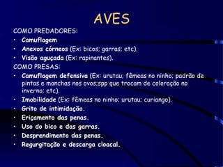 AVES
COMO PREDADORES:
• Camuflagem
• Anexos córneos (Ex: bicos; garras; etc).
• Visão aguçada (Ex: rapinantes).
COMO PRESAS:
• Camuflagem defensiva (Ex: urutau; fêmeas no ninho; padrão de
pintas e manchas nos ovos;spp que trocam de coloração no
inverno; etc).
• Imobilidade (Ex: fêmeas no ninho; urutau; curiango).
• Grito de intimidação.
• Eriçamento das penas.
• Uso do bico e das garras.
• Desprendimento das penas.
• Regurgitação e descarga cloacal.
 