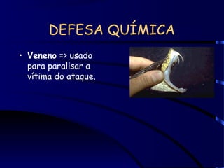 DEFESA QUÍMICA
• Veneno => usado
para paralisar a
vítima do ataque.
 