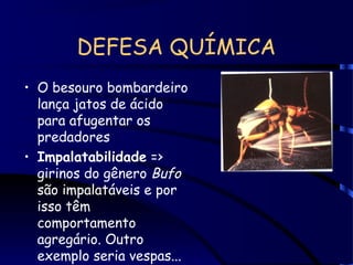 DEFESA QUÍMICA
• O besouro bombardeiro
lança jatos de ácido
para afugentar os
predadores
• Impalatabilidade =>
girinos do gênero Bufo
são impalatáveis e por
isso têm
comportamento
agregário. Outro
exemplo seria vespas...
 