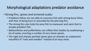 fish predation | PPTX