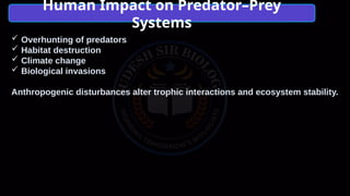 Predatory Behaviour Humans Comprehensive Exploration of Predation: Ecological Roles, Adaptations ...