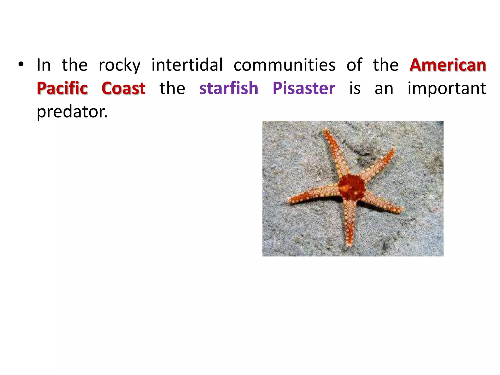 Predation and competition