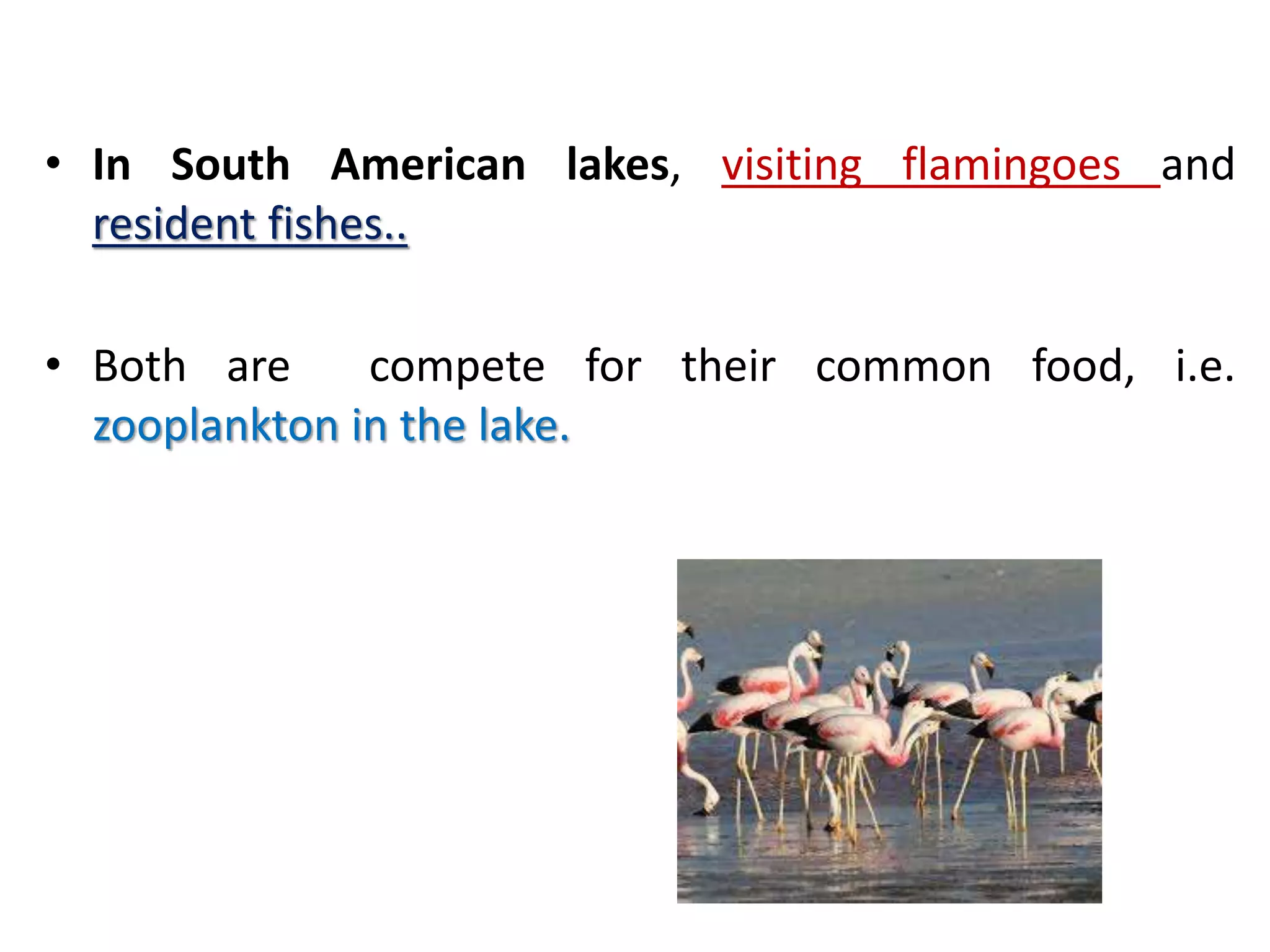 Predation and competition