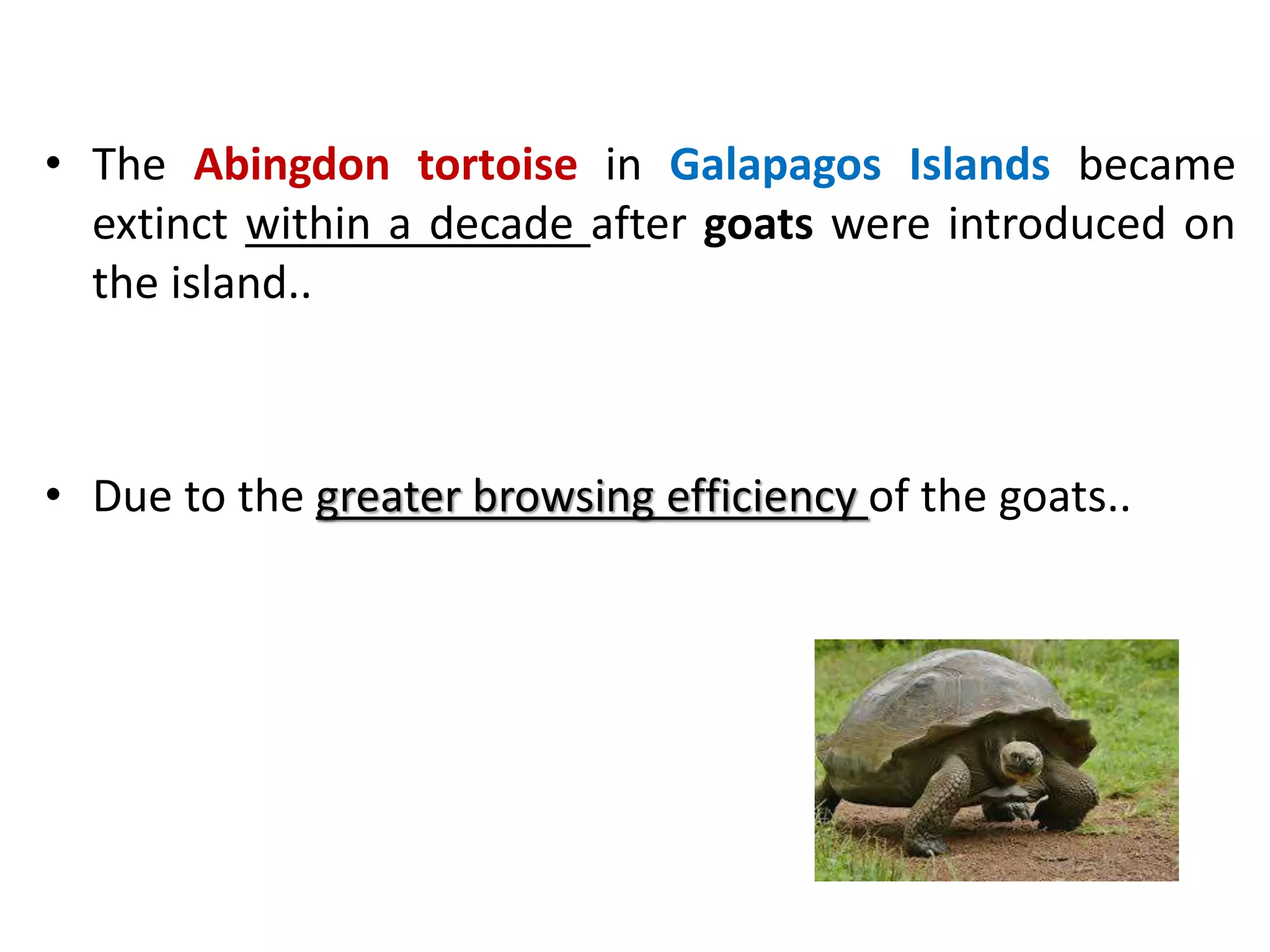 Predation and competition