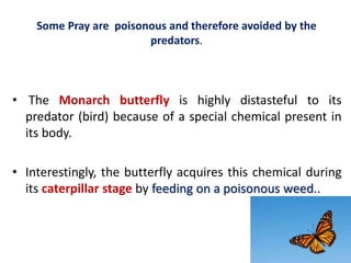 Predation and competition