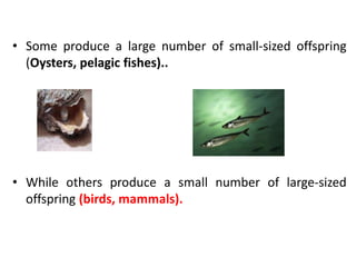 Predation and competition