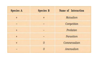 Predation and competition