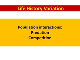 Life History Variation
Population interactions:
Predation
Competition
 