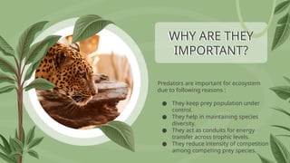 Predators Competing Predation and Competition.pptx for 12th Biology | PPTX
