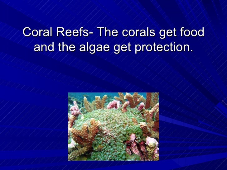predation mutualism commensalism or