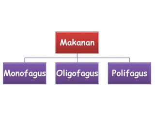 Makanan 
Monofagus Oligofagus Polifagus 
 