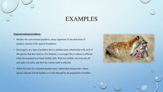 predator and prey relationship.pptx