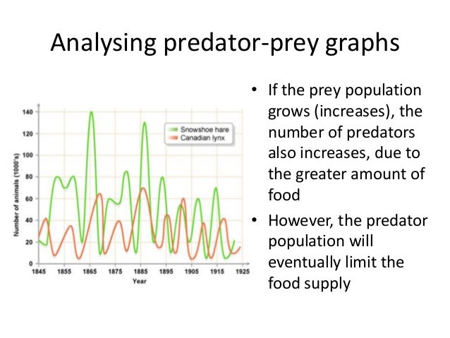 predator prey relationships predator prey relationship