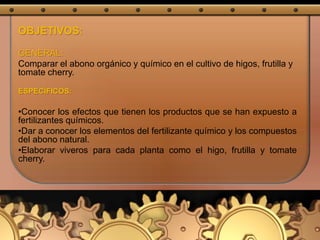 OBJETIVOS:
GENERAL:
Comparar el abono orgánico y químico en el cultivo de higos, frutilla y
tomate cherry.
ESPECÍFICOS:
•Conocer los efectos que tienen los productos que se han expuesto a
fertilizantes químicos.
•Dar a conocer los elementos del fertilizante químico y los compuestos
del abono natural.
•Elaborar viveros para cada planta como el higo, frutilla y tomate
cherry.
 