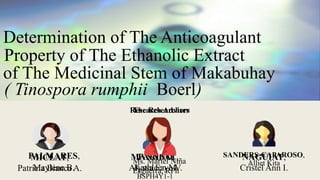 MANABAT,
Alyssa Faye V.
Determination of The Anticoagulant
Property of The Ethanolic Extract
of The Medicinal Stem of Makabuhay
( Tinospora rumphii Boerl)
MICLAT,
Patricia Bianca A.
NAGUIAT,
Cristel Ann I.
PALMARES,
Maylene B.
PARIÑO,
Kathleen M.
SANDERS-CAPAROSO,
Alliet Kita
BSPH4Y1-1
The ResearchersResearch Adviser
Ms. Mariel Niña
Esguerra, RPh
 