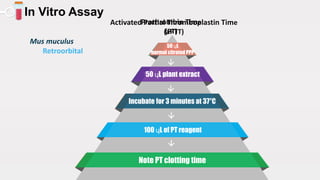 www.presentationgo.com
In Vitro Assay
Note aPTT clotting time
Incubate for 3 minutes at 37°C
50 ɥL APTT reagent
100 ɥL plant extract
50 ɥL
normal citrated PPP
100 ɥL of CaCl (20mM)
Activated Partial Thromboplastin Time
(aPTT)
Mus muculus
Retroorbital




100 ɥL of PT reagent
Incubate for 3 minutes at 37°C
50 ɥL plant extract
50 ɥL
normal citrated PPP
Note PT clotting time
Prothrombin Time
(PT)




 