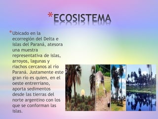 *
*Ubicado en la
ecorregión del Delta e
islas del Paraná, atesora
una muestra
representativa de islas,
arroyos, lagunas y
riachos cercanos al río
Paraná. Justamente este
gran río es quien, en el
oeste entrerriano,
aporta sedimentos
desde las tierras del
norte argentino con los
que se conforman las
islas.
 