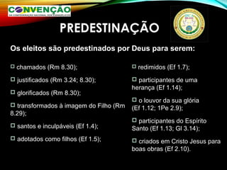 PREDESTINAÇÃO
Os eleitos são predestinados por Deus para serem:
 chamados (Rm 8.30);
 justificados (Rm 3.24; 8.30);
 glorificados (Rm 8.30);
 transformados à imagem do Filho (Rm
8.29);
 santos e inculpáveis (Ef 1.4);
 adotados como filhos (Ef 1.5);
 redimidos (Ef 1.7);
 participantes de uma
herança (Ef 1.14);
 o louvor da sua glória
(Ef 1.12; 1Pe 2.9);
 participantes do Espírito
Santo (Ef 1.13; Gl 3.14);
 criados em Cristo Jesus para
boas obras (Ef 2.10).
 
