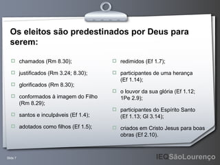 Os eleitos são predestinados por Deus para serem: chamados (Rm 8.30); justificados (Rm 3.24; 8.30); glorificados (Rm 8.30); conformados à imagem do Filho (Rm 8.29); santos e inculpáveis (Ef 1.4); adotados como filhos (Ef 1.5); redimidos (Ef 1.7); participantes de uma herança (Ef 1.14); o louvor da sua glória (Ef 1.12; 1Pe 2.9); participantes do Espírito Santo (Ef 1.13; Gl 3.14); criados em Cristo Jesus para boas obras (Ef 2.10). 