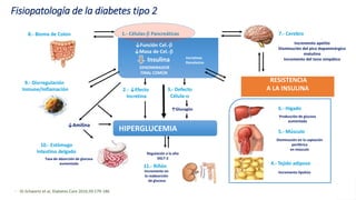 - SS Schwartz et al, Diabetes Care 2016;39:179-186
HIPERGLUCEMIA
1.- Células-b Pancreáticas
2.- ↓Efecto
Incretina
3.- Defecto
Célula-a
↑Glucagón
8.- Bioma de Colon
9.- Disrregulación
Inmune/Inflamación
10.- Estómago
Intestino delgado
↓Amilina
7.- Cerebro
6.- Hígado
5.- Músculo
4.- Tejido adiposo
Tasa de absorción de glucosa
aumentada
Regulación a la alta
SGLT-2
Producción de glucosa
aumentada
Disminución en la captación
periférica
en músculo
Incremento lipolisis
11.- Riñón
Incremento en
la reabsorción
de glucosa
↓Función Cel.-b
↓Masa de Cel.-b
Insulina
DENOMINADOR
FINAL COMÚN
Incretinas
Ranolazina
RESISTENCIA
A LA INSULINA
Incremento apetito
Disminución del pico dopaminérgico
matutino
Incremento del tono simpático
Fisiopatología de la diabetes tipo 2
 