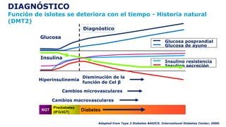 Adapted from Type 2 Diabetes BASICS. International Diabetes Center; 2000.
DIAGNÓSTICO
Función de islotes se deteriora con el tiempo - Historia natural
(DMT2)
Diagnóstico
Insulina
Glucosa
Prediabetes
(IFG/IGT)
NGT Diabetes
Cambios macrovasculares
Cambios microvasculares
Disminución de la
función de Cel β
Hiperinsulinemia
Glucosa posprandial
Glucosa de ayuno
Insulino resistencia
Insulino secreción
 