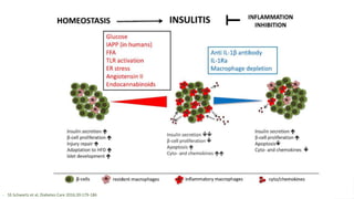 - SS Schwartz et al, Diabetes Care 2016;39:179-186
 