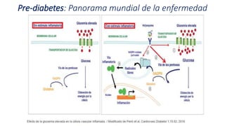 Pre-diabetes: Panorama mundial de la enfermedad
 
