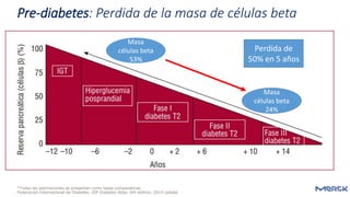 Pre-diabetes: Perdida de la masa de células beta
*Todas las estimaciones se presentan como tasas comparativas
Federación Internacional de Diabetes. IDF Diabetes Atlas. 6th edition, 2014 update
Masa
células beta
53%
Masa
células beta
24%
Perdida de
50% en 5 años
 