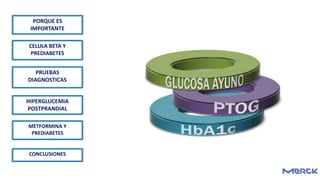 PORQUE ES
IMPORTANTE
CELULA BETA Y
PREDIABETES
PRUEBAS
DIAGNOSTICAS
HIPERGLUCEMIA
POSTPRANDIAL
METFORMINA Y
PREDIABETES
CONCLUSIONES
 