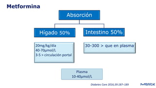 Absorción
Hígado 50% Intestino 50%
20mg/kg/día
40-70μmol/L
3-5 > circulación portal
30-300 > que en plasma
Plasma
10-40μmol/L
Diabetes Care 2016;39:187–189
Metformina
 