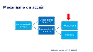 Mecanismo de acción
Mecanismo de
acción
Dependiente
de AMPK
Independiente
de AMPK
Mitocondria
Intestino
J Diabetes Investig 2015; 6: 600–609
 