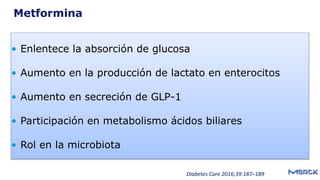 • Enlentece la absorción de glucosa
• Aumento en la producción de lactato en enterocitos
• Aumento en secreción de GLP-1
• Participación en metabolismo ácidos biliares
• Rol en la microbiota
Diabetes Care 2016;39:187–189
Metformina
 