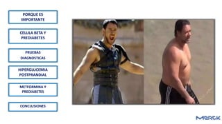 PORQUE ES
IMPORTANTE
PRUEBAS
DIAGNOSTICAS
CELULA BETA Y
PREDIABETES
HIPERGLUCEMIA
POSTPRANDIAL
METFORMINA Y
PREDIABETES
CONCLUSIONES
 