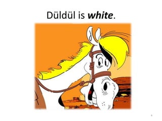 Düldül is white.4
