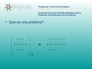 Evaluación Funcional de Redes Biológicas para la Predicción de la Estructura de las Proteínas ,[object Object],= H R O H R O | | | | | | H-N-C-C-N-C-C-… | | | | | H H H H R O | | | H-N-C-C-OH | | | H H H N 