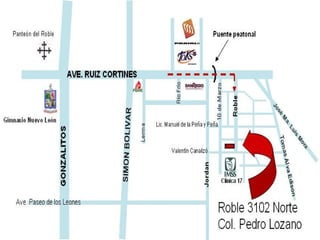 Predicciones año del conejo 2011