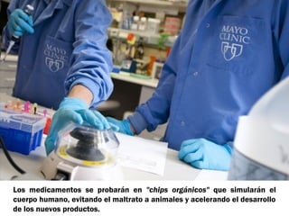 Los medicamentos se probarán en "chips orgánicos" que simularán el
cuerpo humano, evitando el maltrato a animales y acelerando el desarrollo
de los nuevos productos.
 