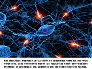 Los científicos mapearán un cuatrillón de conexiones entre las neuronas
cerebrales. Esas conexiones tienen las respuestas sobre enfermedades
mentales, el aprendizaje, etc. Sabremos casi todo sobre nosotros mismos.

 