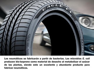 Los neumáticos se fabricarán a partir de bacterias. Los microbios E. coli
producen bio-isopreno como material de desecho al metabolizar el azúcar
de las plantas, siendo este un excelente y abundante producto para
fabricar neumáticos.

 