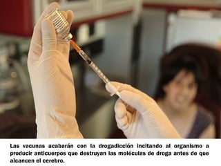 Las vacunas acabarán con la drogadicción incitando al organismo a
producir anticuerpos que destruyan las moléculas de droga antes de que
alcancen el cerebro.
 