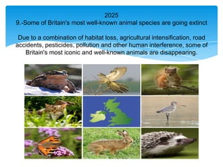 2025
9.-Some of Britain's most well-known animal species are going extinct

 Due to a combination of habitat loss, agricultural intensification, road
accidents, pesticides, pollution and other human interference, some of
   Britain's most iconic and well-known animals are disappearing.
 