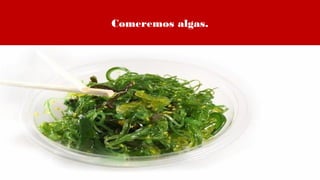 Comeremos algas.
 