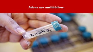 Adeus aos antibióticos.
 
