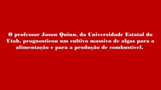 O professor Jason Quinn, da Universidade Estatal do
Utah, prognosticou um cultivo massivo de algas para a
alimentação e para a produção de combustível.
 