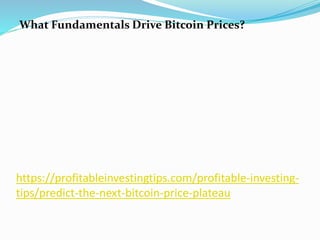 https://profitableinvestingtips.com/profitable-investing-
tips/predict-the-next-bitcoin-price-plateau
What Fundamentals Drive Bitcoin Prices?
 