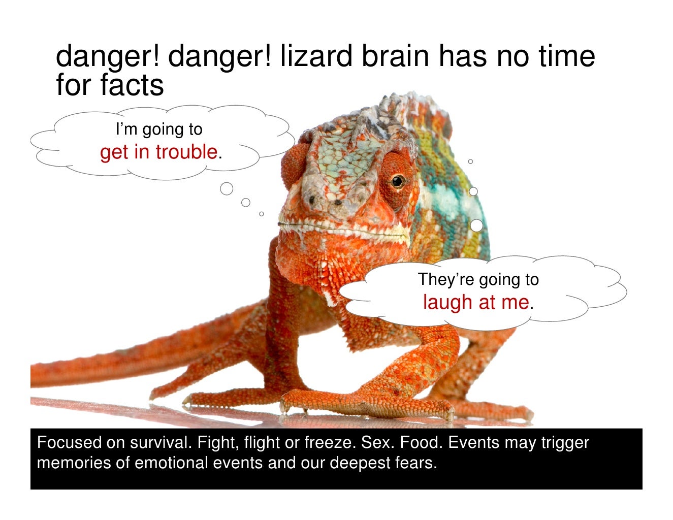 Lizard Dick