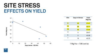 SITE STRESS
EFFECTS ON YIELD
1 Mg/ha = 7.96 cwt/ac
Site Days in Stress Yield
(Mg/ha)
9 42 31.47
12 53 32.77
10 44 37.44
11 0 39.67
6 0 40.08
7 16 40.33
 