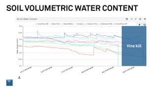 SOIL VOLUMETRIC WATER CONTENT
Vine kill
 