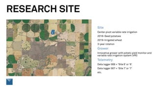 RESEARCH SITE
Site
Center pivot variable rate irrigation
2018–Seed potatoes
2019–Irrigated wheat
3-year rotation
Grower
Innovative grower with potato yield monitor and
variable rate irrigation system (VRI)
Telemetry
Data logger 906 = ‘Site 6’ or ‘6’
Data logger 907 = ‘Site 7’ or ‘7’
etc.
 