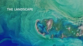 THE LANDSCAPE
 
